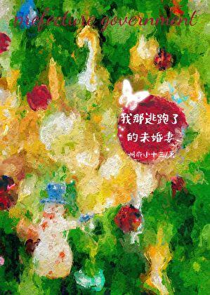 我那逃跑了的未婚妻TXT番外