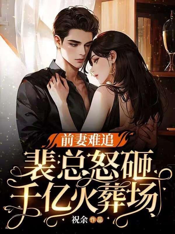前妻难追总裁请放手