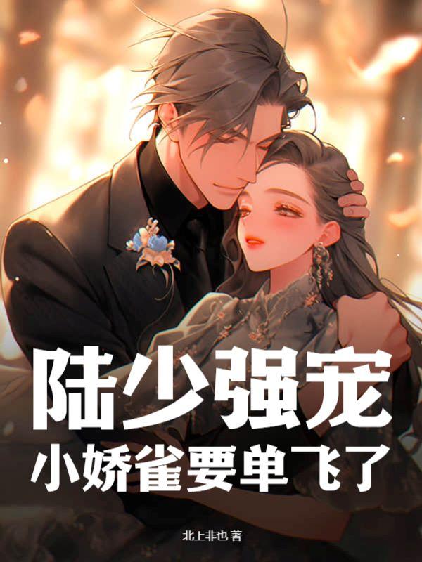娇宠小陆少超宠陆霆琛