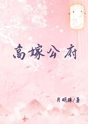 高嫁公府月明珠格格党