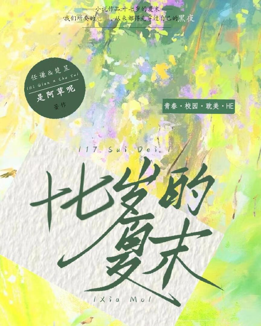 十七岁的夏季程