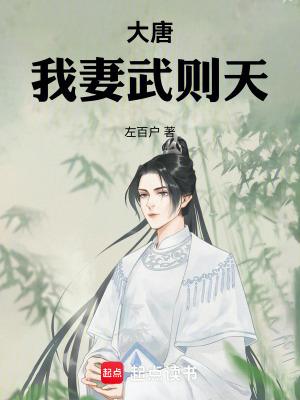 大唐我的妻子武媚娘