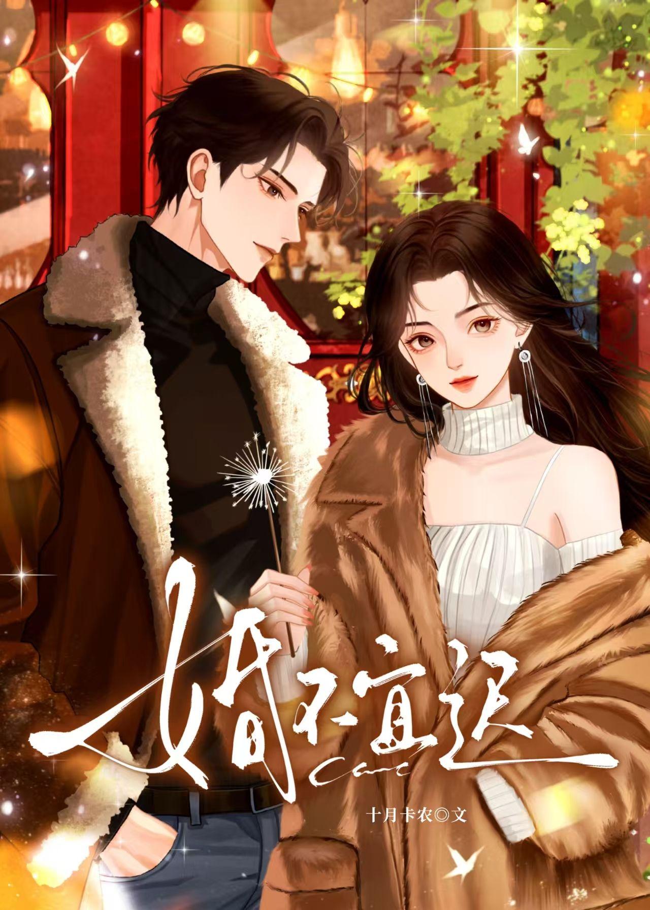 婚不宜迟免费读