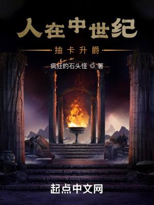 我在中世纪搞建设
