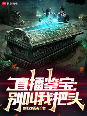 直播鉴宝别叫我把头txt