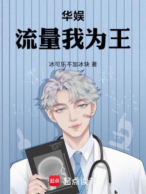 华娱之流量天王电子书