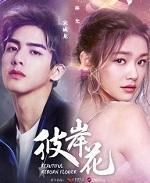 彼岸花叶子长什么样子