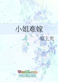 小姐难嫁gl全文免费阅读笔趣阁