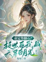 免费阅读沈婉宋恒