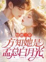 沈眠孟韫是哪部