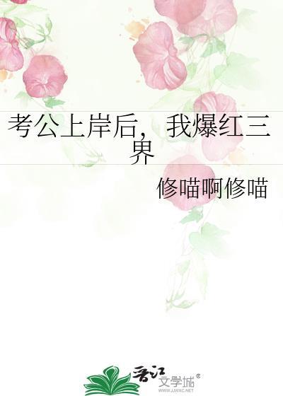 公考成功上岸经验