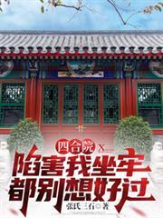 四合院陷害我坐牢都别想好过免费阅读