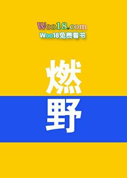 燃野少年的天空插曲