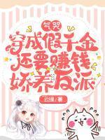 女主人公叫沈星晚的