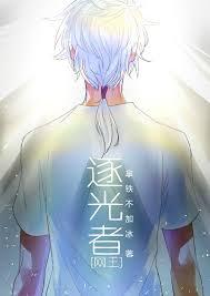 综逐光者网王txt