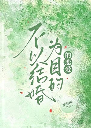 不以结婚为目的的恋爱都叫