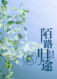 陌路归途短剧全集完整版