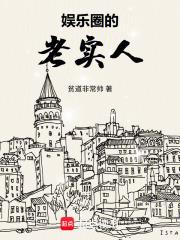 娱乐圈的老实人原著