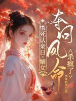 现代文主角叫云昭的