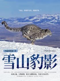 雪山雪豹