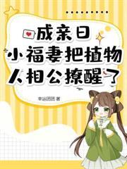 摆摊卖饭怎么样