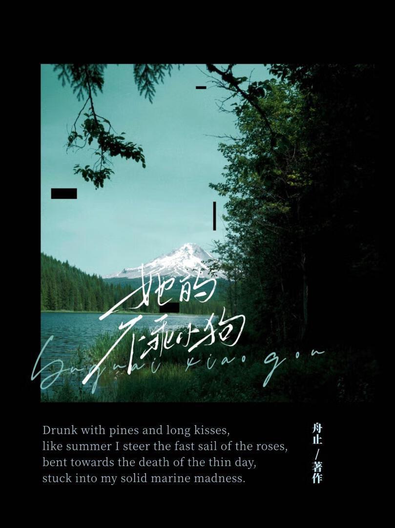 她的不乖小狗舟止