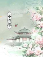 林溪沈兆泽全文免费阅读