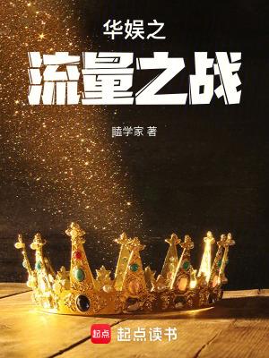 华娱之流量之战 作者瞌学家
