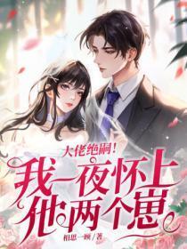 大佬绝嗣我一夜怀上他两个崽全文阅读
