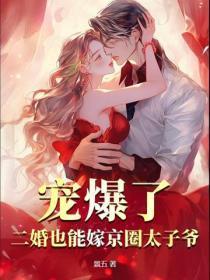 二婚再嫁太子