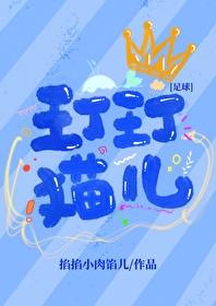 足球玎玎猫儿免费阅读