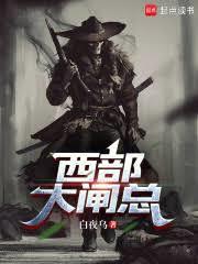 西部大开发是什么项目