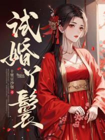 试婚丫鬟免费阅读