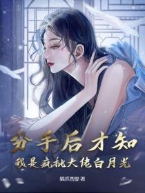 分手后我成了大佬的黑月光免费阅读无弹窗