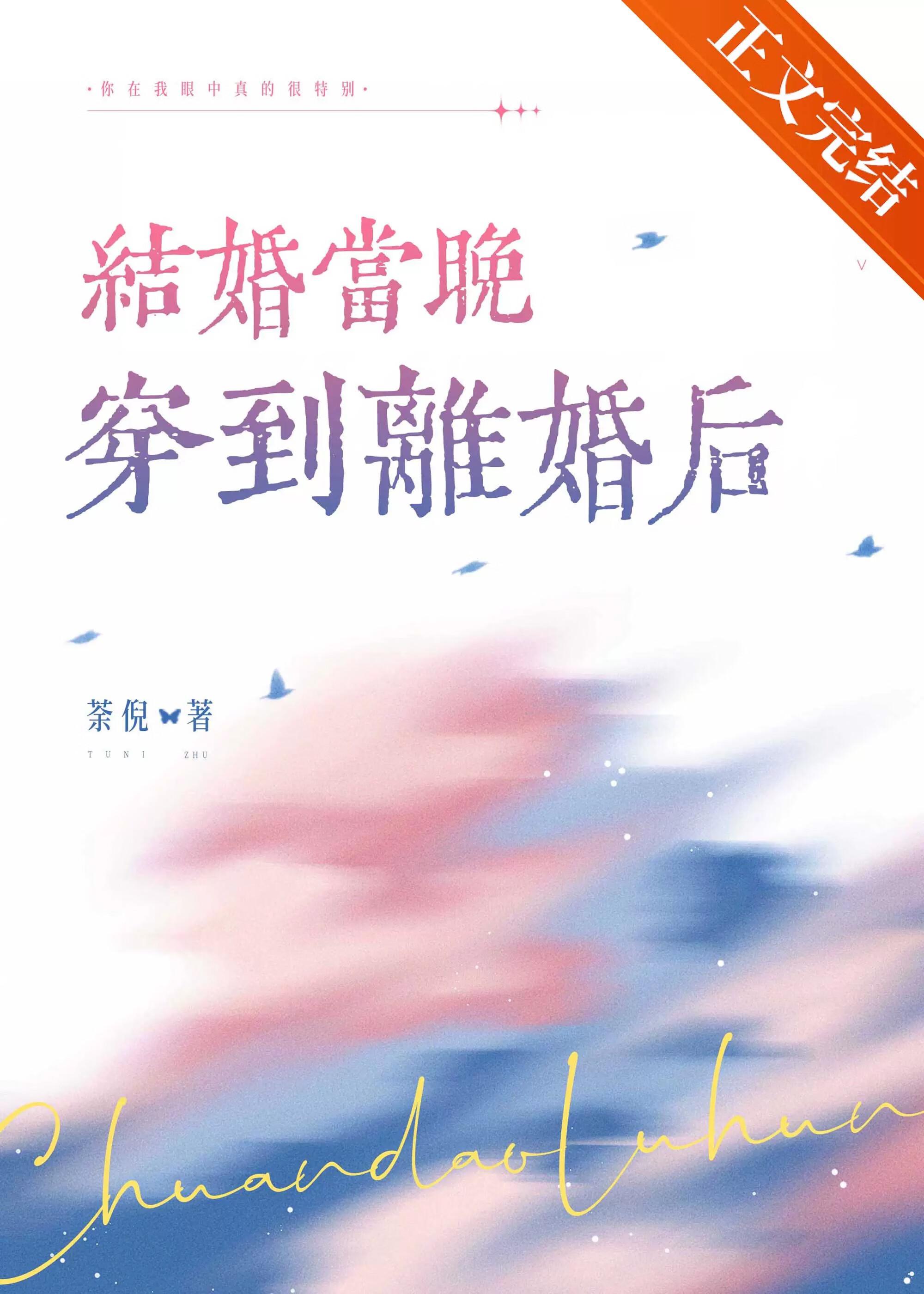 结婚当晚穿到离婚后讲的什么