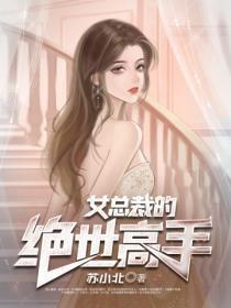美女总裁的绝世高手女主