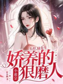 陆先生宠妻无度免费阅读