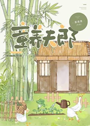 首辅家的小夫郎