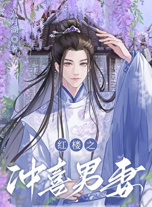 红楼之冲喜男妻作者八月湖