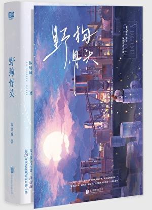 野狗骨头TXT免费