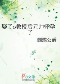 娶了o教授后元帅怀孕了简介