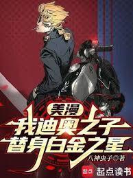 美漫我迪奥之子替身白金之星笔趣阁