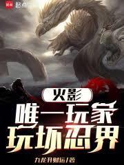 玩坏忍界免费阅读