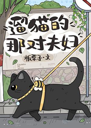 遛猫的那对夫妇 免费阅读