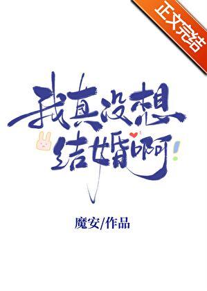 我真没想结婚啊txt资源