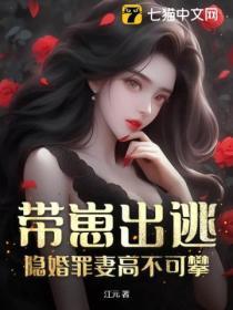 隐婚男神带娃追妻