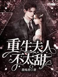 重生夫人不好惹