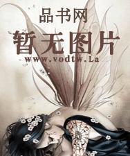 我是赘婿岳风全章节