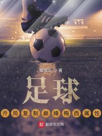 足球开局复制巅峰梅西属性霰雪鸟