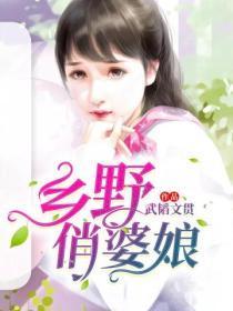 乡野俏婆娘张磊全本